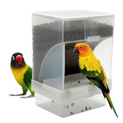 Premier Plants Birds Food Feeder Anti Spill Plastic Bird Feeder for Birtds Cage 500Ml