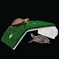 Premier Plants Acrylic Small Turtle Basking Platform Simulation Tortoise Resting Pad Terrace with Artificial Grass Lawns Climbing Ladder (CP-80) Brand: SANSEFERO