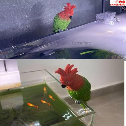 Aquarium Bird Decorative Ornaments Innovative Vivid Aquarium and Home Decoration Ornament for Fish Tank 6 MM (Green Bird)