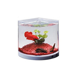 Dophin T-101 Plastic Aquarium Betta Fish Mini Tank