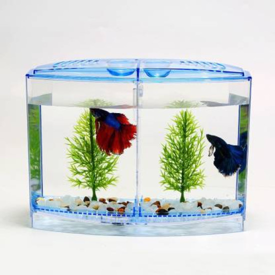  Betta Tank (Double Betta)