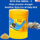 Baby Bird Feeding Formula Food with Complete Nutrition Fruit Flavour Powder (250 Gram) and Hand Feeding Syringe (12 Ml)