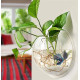 Wall Hanging Fish Bowl Acrylic (not Glass) 12 inches Medium Size with Free Color Stones (White) (L) (Rust Resistant)