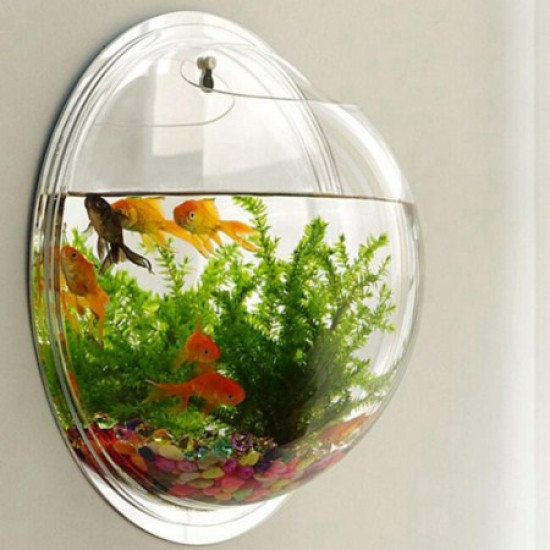 Wall Hanging Fish Bowl Acrylic (not Glass) 12 inches Medium Size with Free Color Stones (White) (L) (Rust Resistant)