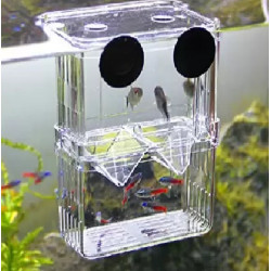  Breeding Box Isolation Box Fish Tank Aquarium Breeder Box Double Guppies Incubator Aquarium Rectangle Aquarium Tank (13.5cm x 7.5 cm x 10.5 cm)