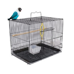 18 inch / 1.5 feet Bird Cage for Love Birds, Parrot, Budgies, Finch, Cockatiel with 1 Natural Perch, 2 Feeding Bowls, Anti Escape Lock (Random Color) (18 inch)