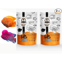 Ocean Treat Feast for Aquarium Fishes with Formulated Diet Pellets -100 Grams (Pack of 2) (FlowerHorn, Parrot)