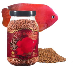 Premier Plants Inch Gold Parrot Pellet Fish Food for Aquarium All Life Stages (380 Gram)