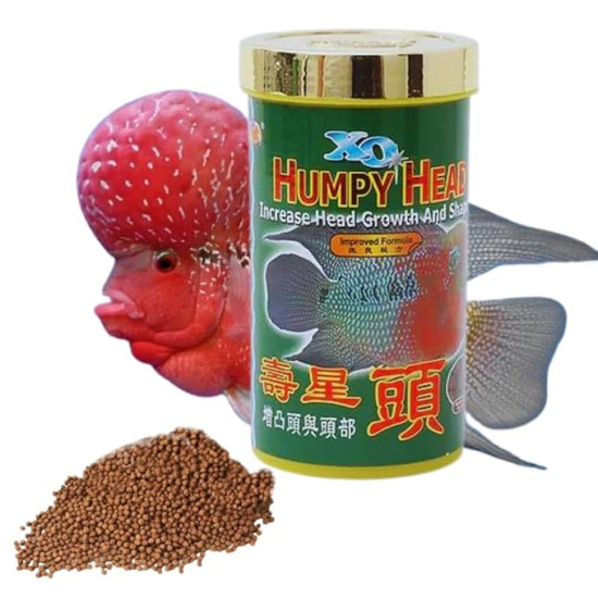 Premier Plants XO Humpy Head for Flowerhorn Fish in Increases of Shape and Head Growth for Flowerhorn Fish (100 Gram)