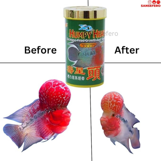 Premier Plants XO Humpy Head for Flowerhorn Fish in Increases of Shape and Head Growth for Flowerhorn Fish (100 Gram)