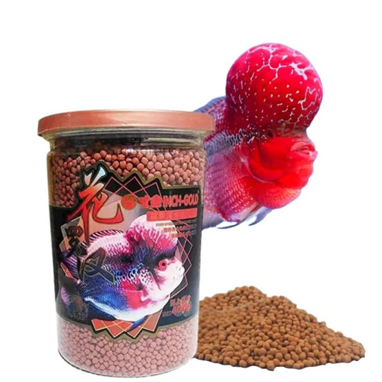  Inch Gold Flowerhorn Pellet for All Life Stages Fish Food (180Gram)