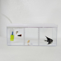 IN TANK ISOLATION TANK GUPPY BOX