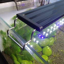  Ultra Thin Grass Frame Light for Aquarium Plants,(LA 50 | 15W | 50-60CM) Super Slim LED Light for Fish Tank Aquatic Plant Landscape Grow Lighting Bright White and Blue (LA50S - 2 Ft)