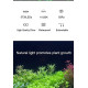  Ultra Thin Grass Frame Light for Aquarium Plants,(LA 50 | 15W | 50-60CM) Super Slim LED Light for Fish Tank Aquatic Plant Landscape Grow Lighting Bright White and Blue (LA50S - 2 Ft)