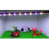  T4 Series Color Changing Submersible Aquarium Fish Tank Light (T4-400LC | 4W | Suits 1.5 feet Tank)(White,Blue,Green,Red)