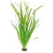 Amaze Aqua Live Aquatic Plants, Vallisneria