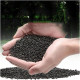 Premier plants Aquarium Black Soil for Planted Aquarium Fish Tank, Aquarium Plants, Aquarium Substrate 1 kg/ 2 kg / 5 kg