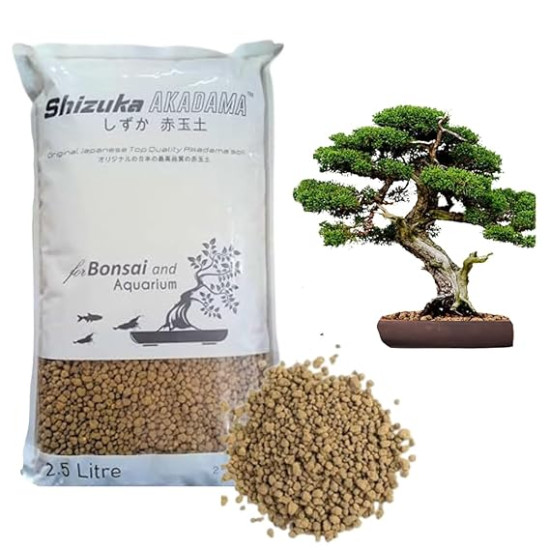 Bonsai and Aquarium Soil Original Japanese Shizuka Akadama Soil for Bonsai, Aquarium and Succulant (2.5 litre 2-5 MM)